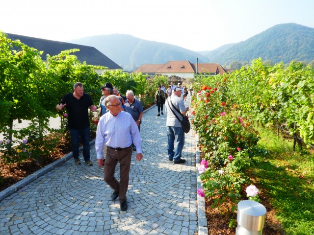 2016 Sommelier-Weinreise Niederösterreich